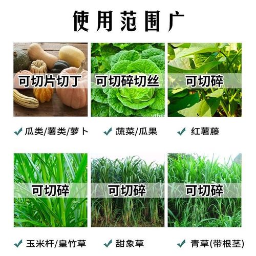 电动切草机猪草机切丁两用铡草家用小型牛羊养殖 割草瓜果剁碎丁