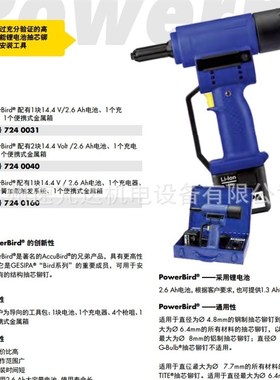 德国Gesipa电动环槽铆钉枪PowerBird SRB 4.8拉钉枪1450607