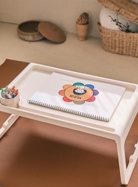 制letm可折叠儿童学习桌阅读桌家用多功能书桌便携野餐桌