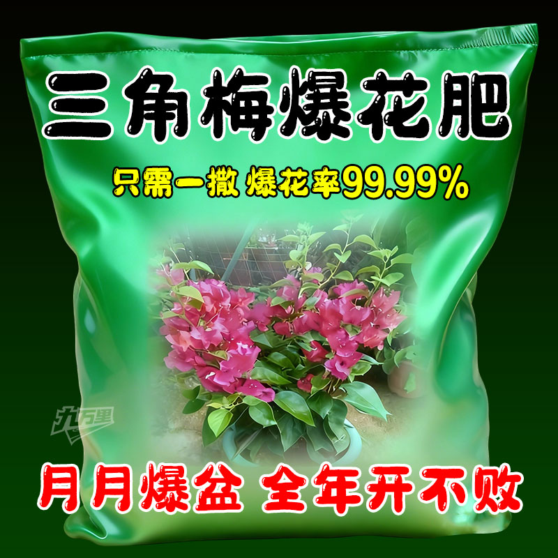 三角梅催花开花粉促芽剂