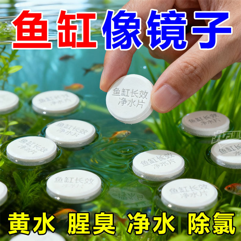 鱼缸净水片澈净化水质除臭去腥水族箱鱼池清水养鱼净水剂增氧换水,宠物/宠物食品及用品,鱼缸净水剂,淘宝优惠券,粉丝福利购,淘宝优惠卷