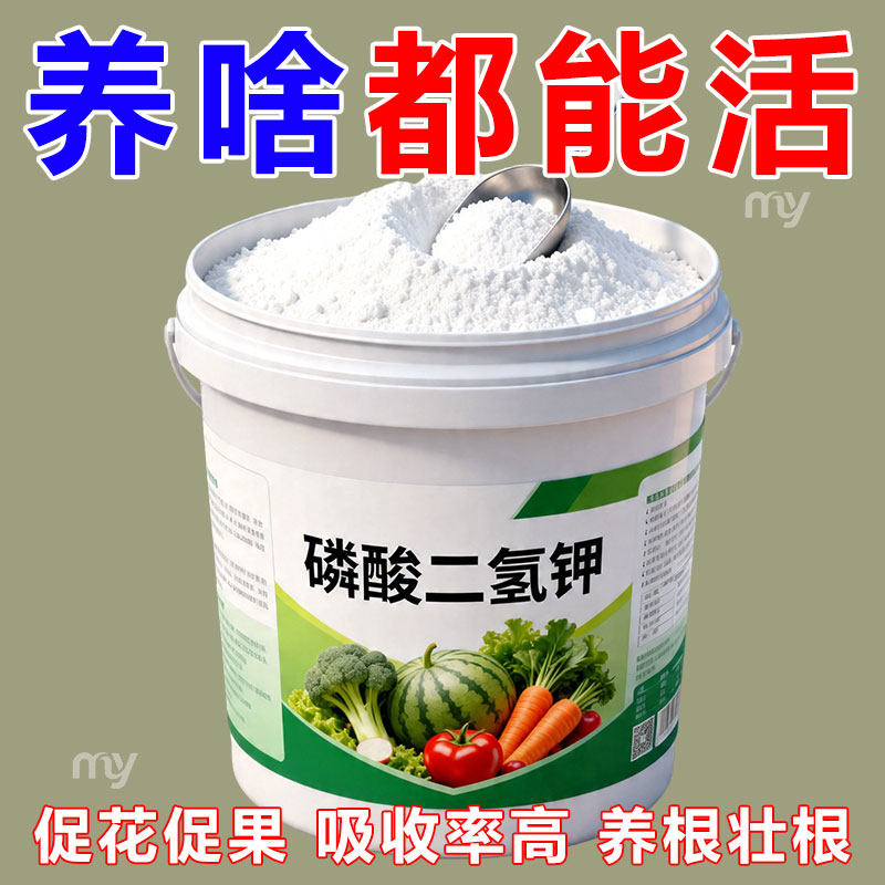 园艺磷酸二氢钾花卉通用花肥