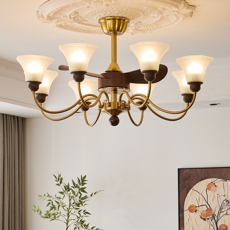 餐桌风扇灯吊扇灯j中古风客厅吊灯高级感创意个性艺术2025新款灯