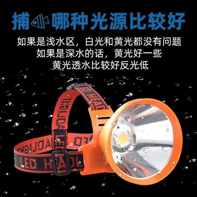 12V散光大光圈头灯35W超亮黄光白光钓鱼灯lePd头戴防水夜钓泛光灯