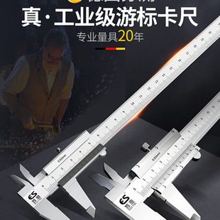 苏测游标卡尺300mm高精度不锈钢量具小卡尺油表油标游边200工业级
