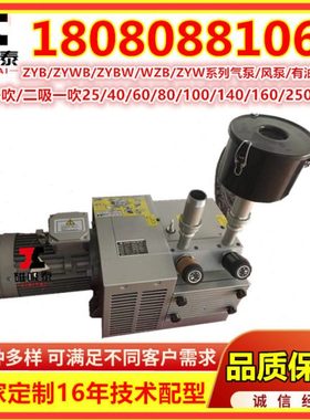 ZYBW...E真空压力复合气泵 ZYBW60E滑片泵甩片泵干泵 镇江气泵