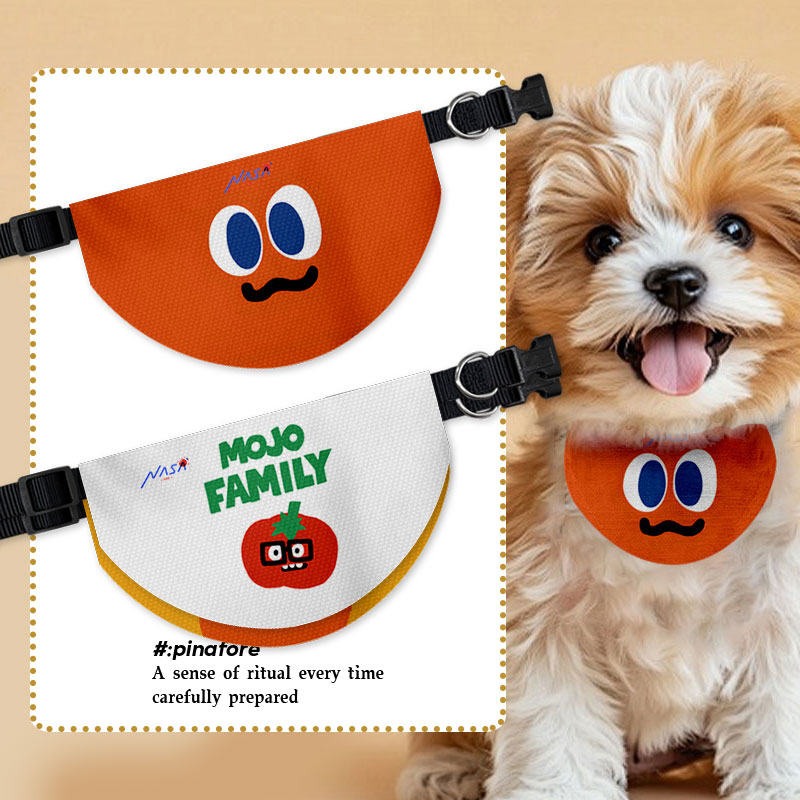NASA联名魔力胡萝卜卜家族宠物口水巾狗狗猫咪围脖围巾吃饭围兜