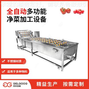 202小4全自动茄清洗设备 番西红柿清洗机 西干红柿NVY清洗风机械