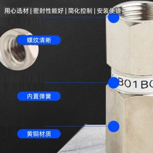 10单向安全止回阀 真空吸盘逻辑阀ZP2V B01