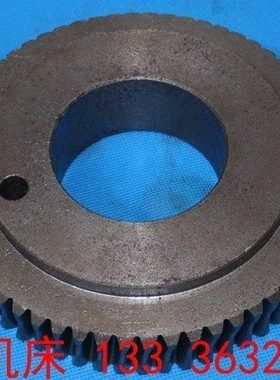 济南第二机床厂B2016A,B2012A,B1016A,B2020Q龙门刨床蜗轮配件