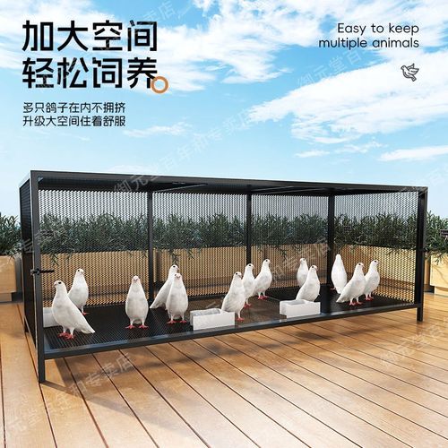 新款加密鸡笼兔笼鸽子笼家用特大号折叠养殖鸡舍鹅笼厂家直销鸭笼