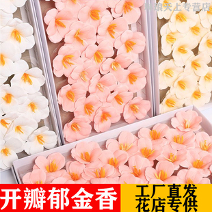 高级感开瓣郁金香花头香皂花头肥皂花永生花束diy材料花店批发