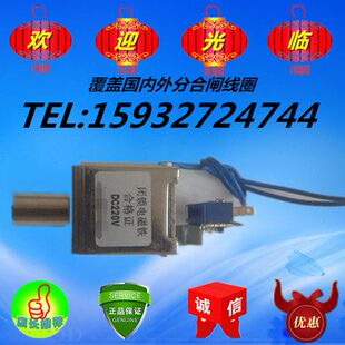 闭锁电磁铁 DC220V