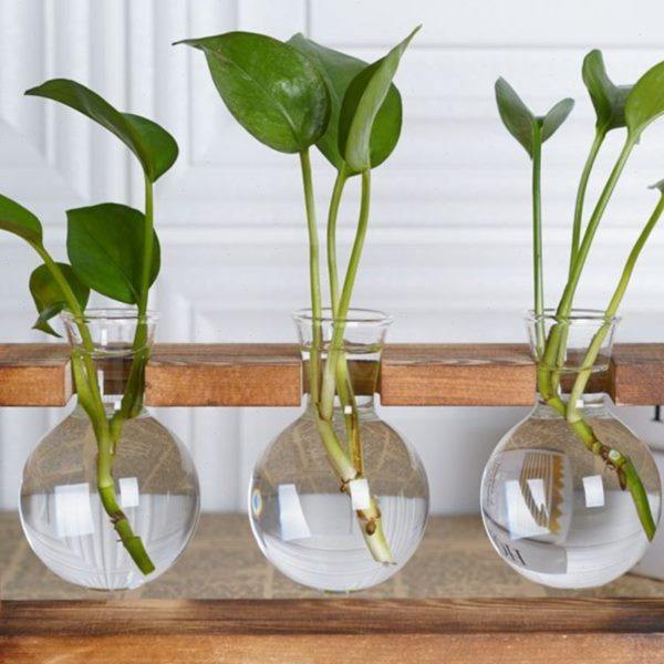 创意水培花瓶水养绿萝插花容器玻璃木艺花器桌面居家简约装饰摆件,家居饰品,花瓶,淘宝优惠券,粉丝福利购,淘宝优惠卷