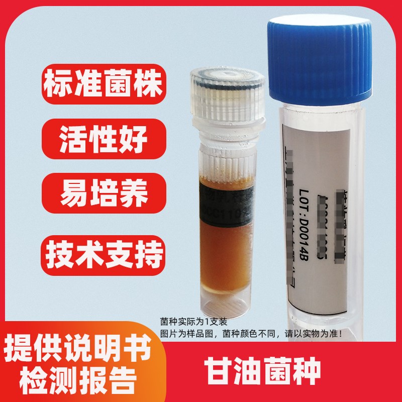 干酪乳杆菌 二代甘油菌种质控试验用标准菌株学校实验观察