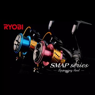 RYOBI利优比纺车轮微物鱼线纺车轮路亚远投海钓矶钓轮