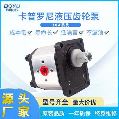 Caproni卡普罗尼液压齿轮泵低噪音高压力圾压缩清运车用液压油泵