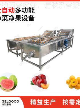 水HXI果清分风干设备 级水果自动化清洗洗黄果生产线 洗杏子清洗