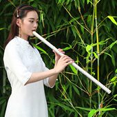 伶吟专业演奏树脂8孔洞箫不开裂初学短玉萧笛G调古风九节长萧乐器