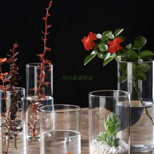 高硼硅玻璃苔藓生态瓶水培植物瓶室内桌面小花盆直筒艺术插花花瓶