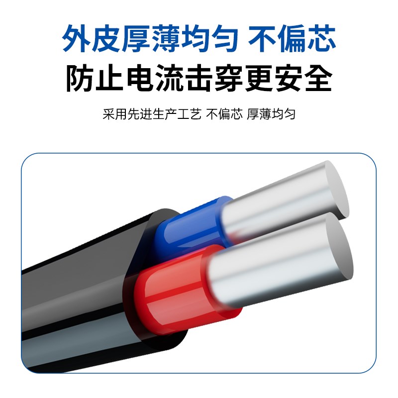 国标2芯护套线 g线铝芯家用户外电线 线4 6 10 16 25平方线 线双