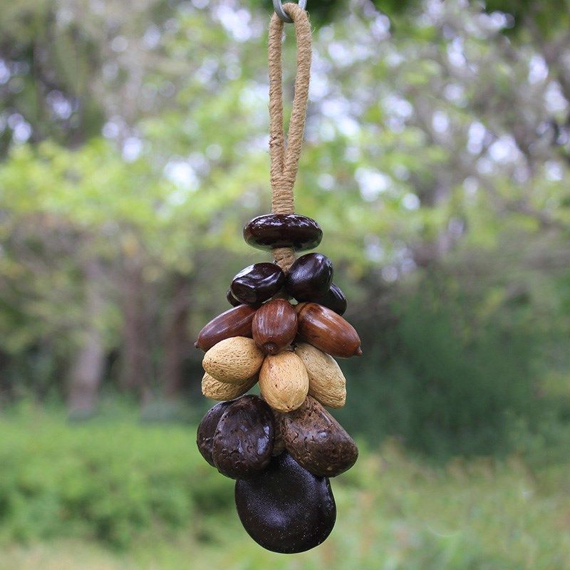 小野果挂饰天然果实手工制作餐厅客厅装饰云南民族风特色门饰挂件,家居饰品,风铃及配件,淘宝优惠券,粉丝福利购,淘宝优惠卷