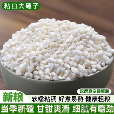 甜糯白玉米碴子大渣子新货包谷糁农家自种五谷杂粮白色糯玉米大粒