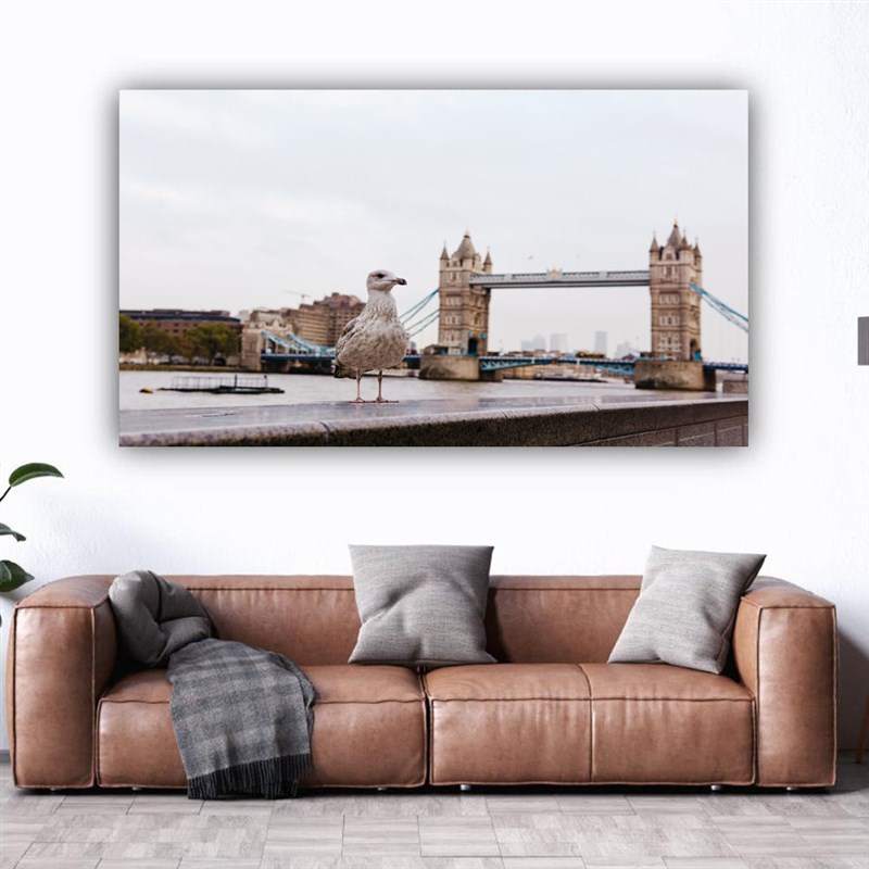 白色和平鸽帆布画动物无框画外贸微喷艺术油画客厅装饰画2837图片