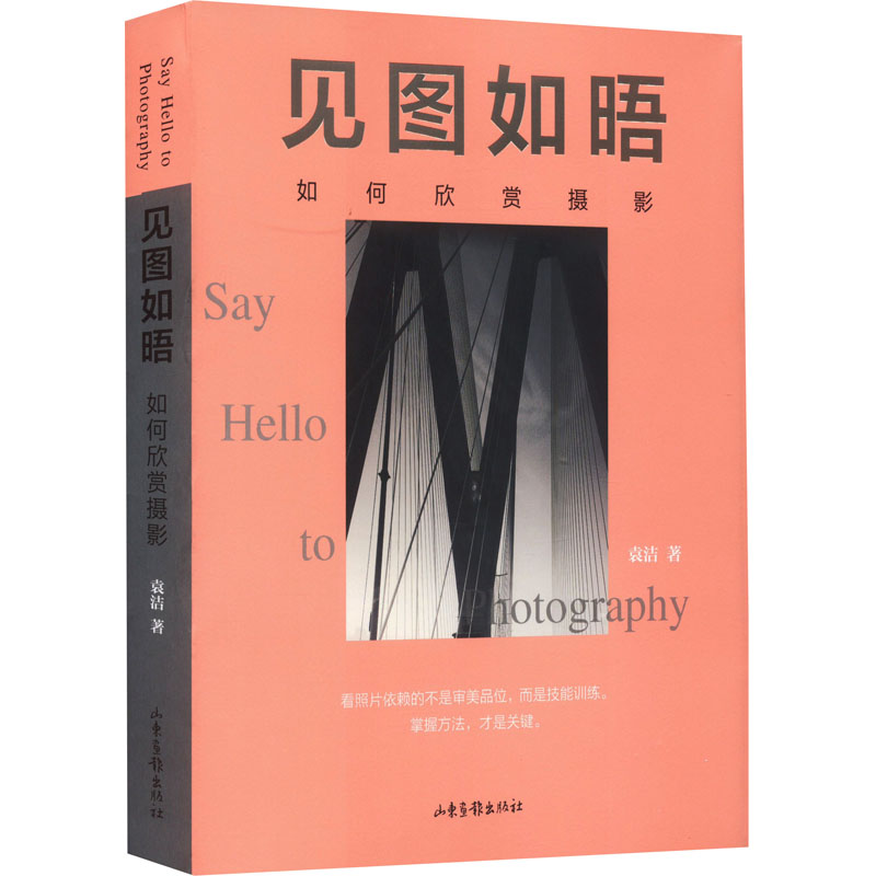 见图如晤 如何欣赏摄影袁洁山东画报出版社艺术理论（新）