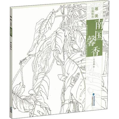 唯美白描精选 南国馨香 福建美术出版社 刘兴建 绘 绘画（新）