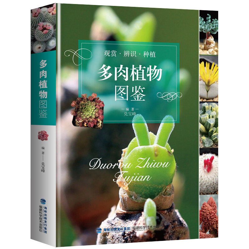 多肉植物图鉴 福建科学技术出版社 兑宝峰 著 都市手工艺书籍
