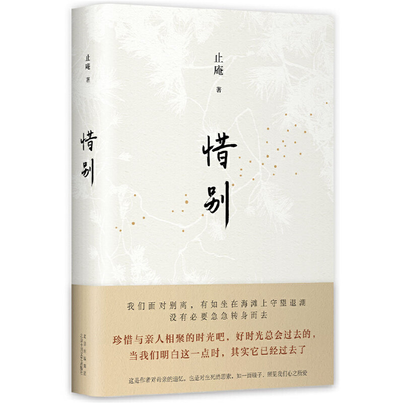 惜别（向往的生活推荐！读懂亲情，让人生的遗憾少一点！） 止庵 北京十月文艺出版社 正版书籍X