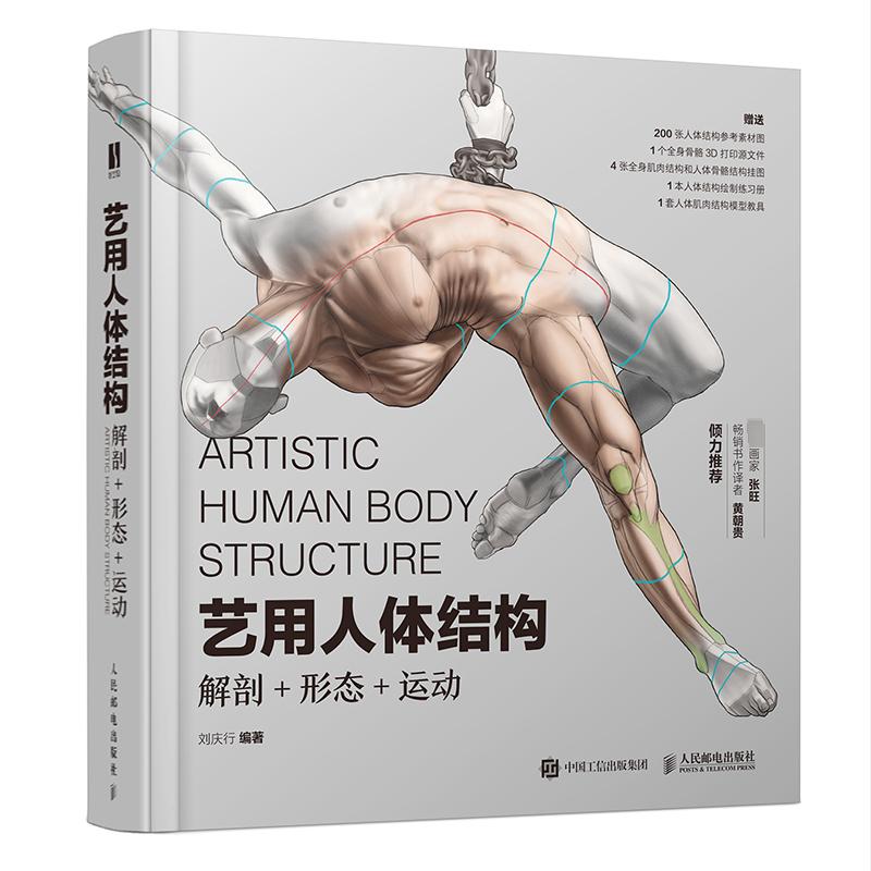 艺用人体结构 解剖+形态+运动 人民邮电出版社 刘庆行 编 绘画（新）