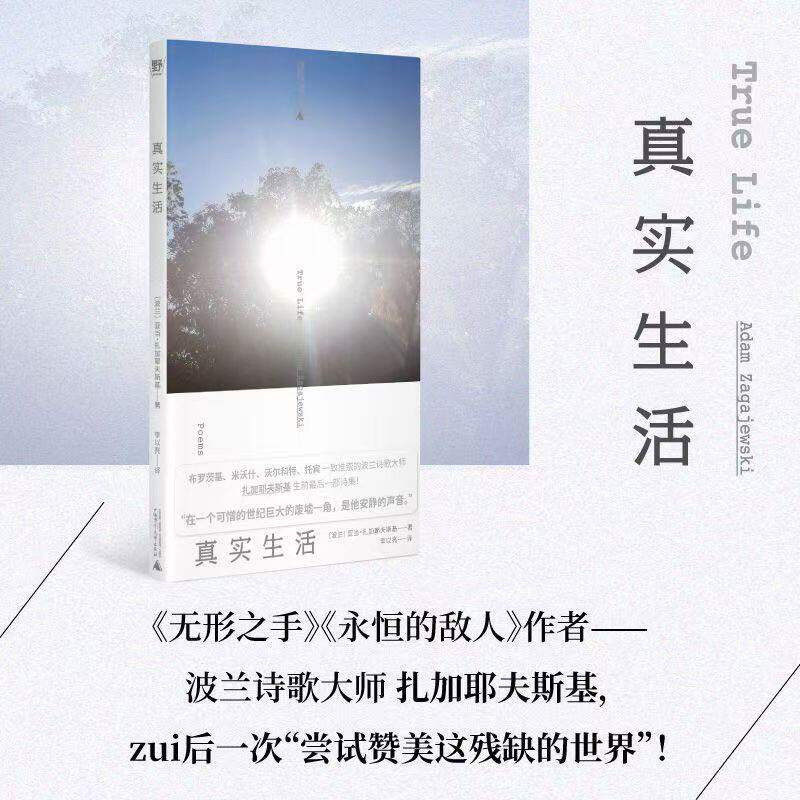 真实生活 亚当·扎加耶夫斯基 2024新版 波兰诗歌大师晚年绝唱 54首精选 李以亮译 尝试赞美这残缺的世界 广西师范大学出版社 G