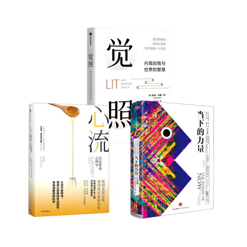 觉照+当下的力量+心流 中信出版社 (美)杰夫·卡普 著 高天羽 译等 心理学