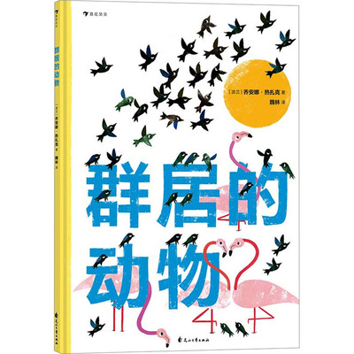 群居的动物 花山文艺出版社 (波)乔安娜·热扎克 著 魏林 译