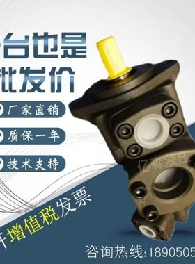 凯嘉叶片泵VQ315-108/116/125-14/17/19/23/26/31-F-RAAA-02油泵