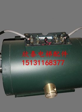 重庆伊士顿电梯ZLZ-02制动器EUS-1 EBU制动器抱闸柱塞式电磁铁