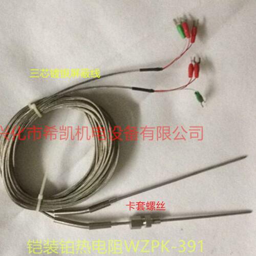 铠装铂热电阻 温度传感器 测温探头 热电偶WZPK-391 PT100 PT1000