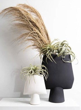 现代简约树脂扁形花器花瓶样板间民宿客厅餐厅桌面花Z插软装饰品