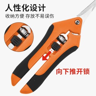 摘果剪强力修枝剪子园林稀果花艺剪葡萄水果专用剪刀蔬果采摘剪子