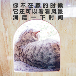 喵林苑阳台实木猫爬架小型不占地剑麻猫抓板耐磨不掉屑猫窝一体
