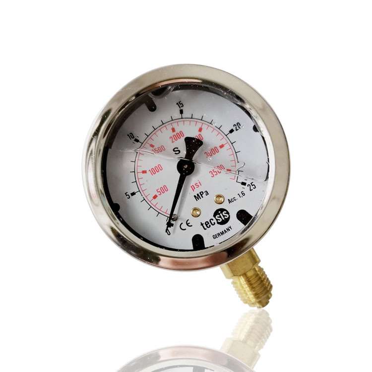 TecSiS泰科斯不锈钢压力表耐震充油注液立装径向YN63 25MPA G1/4