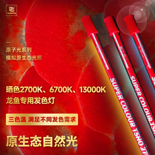 马印龙鱼专用固色灯6700k三基色防水潜水鱼缸发色灯