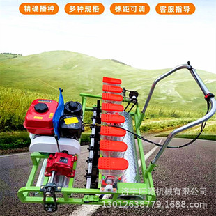 汽油自走式蔬菜播种机 油菜香菜手推精播机 株距可调蔬菜播种机