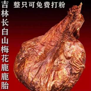 双阳鹿乡吉林梅花鹿整只干鹿胎鹿胎盘胎衣整个可代打粉