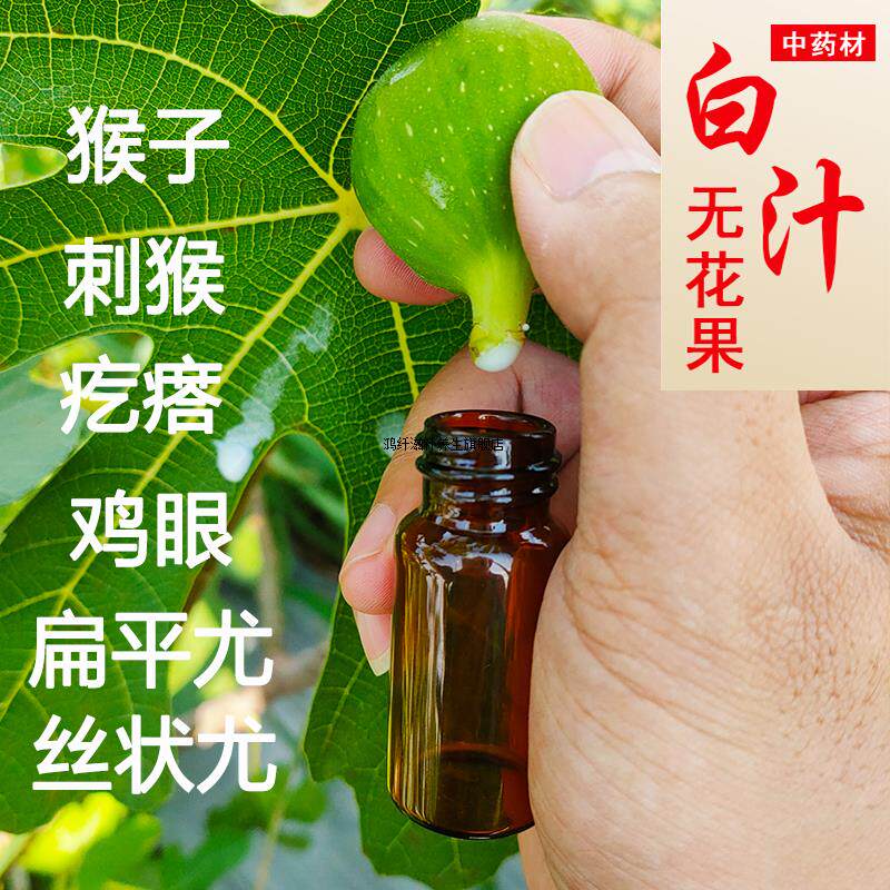 新鲜无花果叶白汁药用纯白原浆汁液扁平尤瘊猴子现挤现货10ml包邮