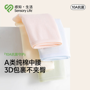 女士透气内裤 女新疆长绒棉纯棉10A级抗菌裆新款 life内裤 Sensory