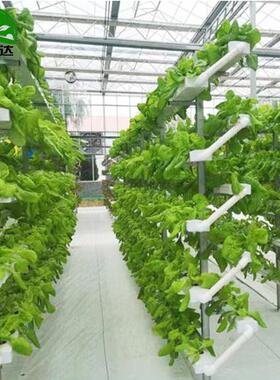 蔬菜大棚无土栽培设备墙体栽培模式温室大棚无土栽培种植设备