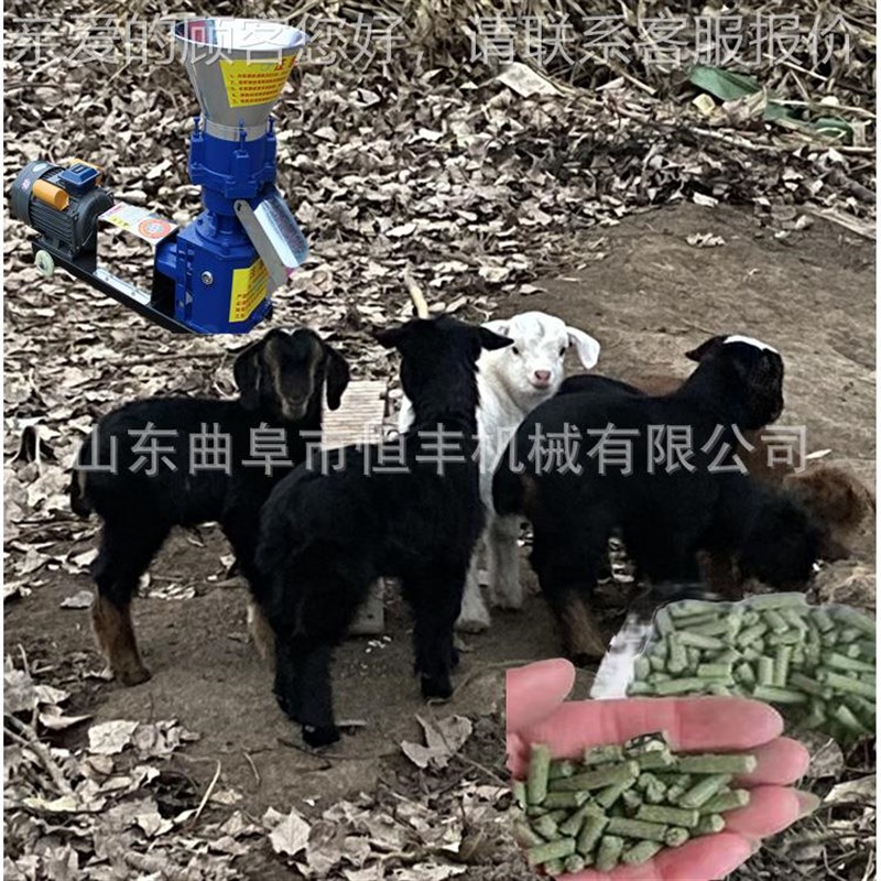 烟台 鱼虾饲料造粒机 多功能制粒机 有机肥饲料造粒机